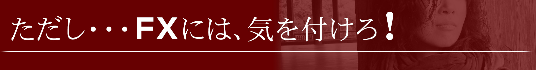 ただし・・・ FXには、気を付けろ！